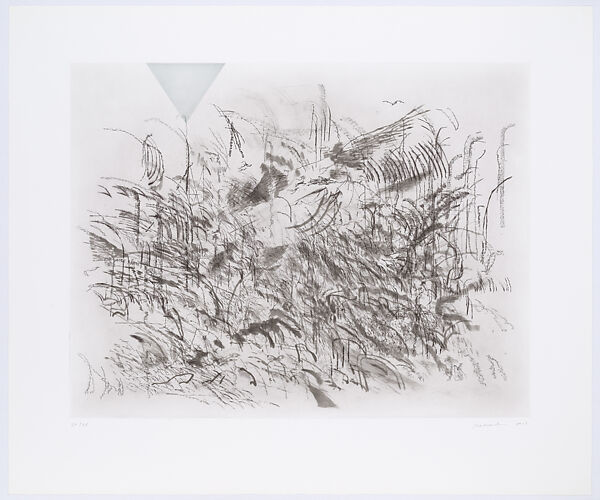 Algorithms / Apparitions / Translations, Julie Mehretu (American, born Addis Ababa, Ethiopia, 1970), Etching with aquatint, spitbite, softground, hardground, drypoint, engraving, and pochoir