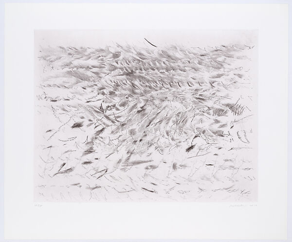 Algorithms / Apparitions / Translations, Julie Mehretu (American, born Addis Ababa, Ethiopia, 1970), Etching with aquatint, spitbite, softground, hardground, drypoint, engraving, and pochoir