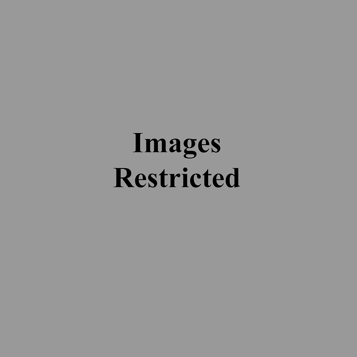Human remains from the coffin of Ahmose, Human skeletal remains 