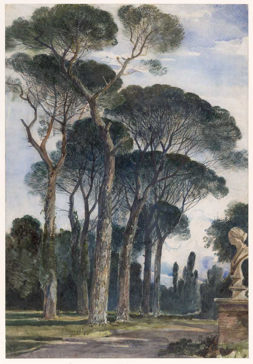Umbrella pines in the Villa Borghese, Rome, William James Müller (British, Bristol 1812–1845 Bristol), Watercolor over graphite underdrawing, with stippling, washes and reductive techniques, selectively coated with gum arabic 