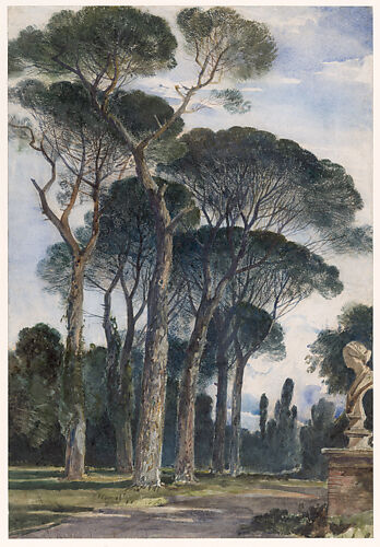 Umbrella pines in the Villa Borghese, Rome