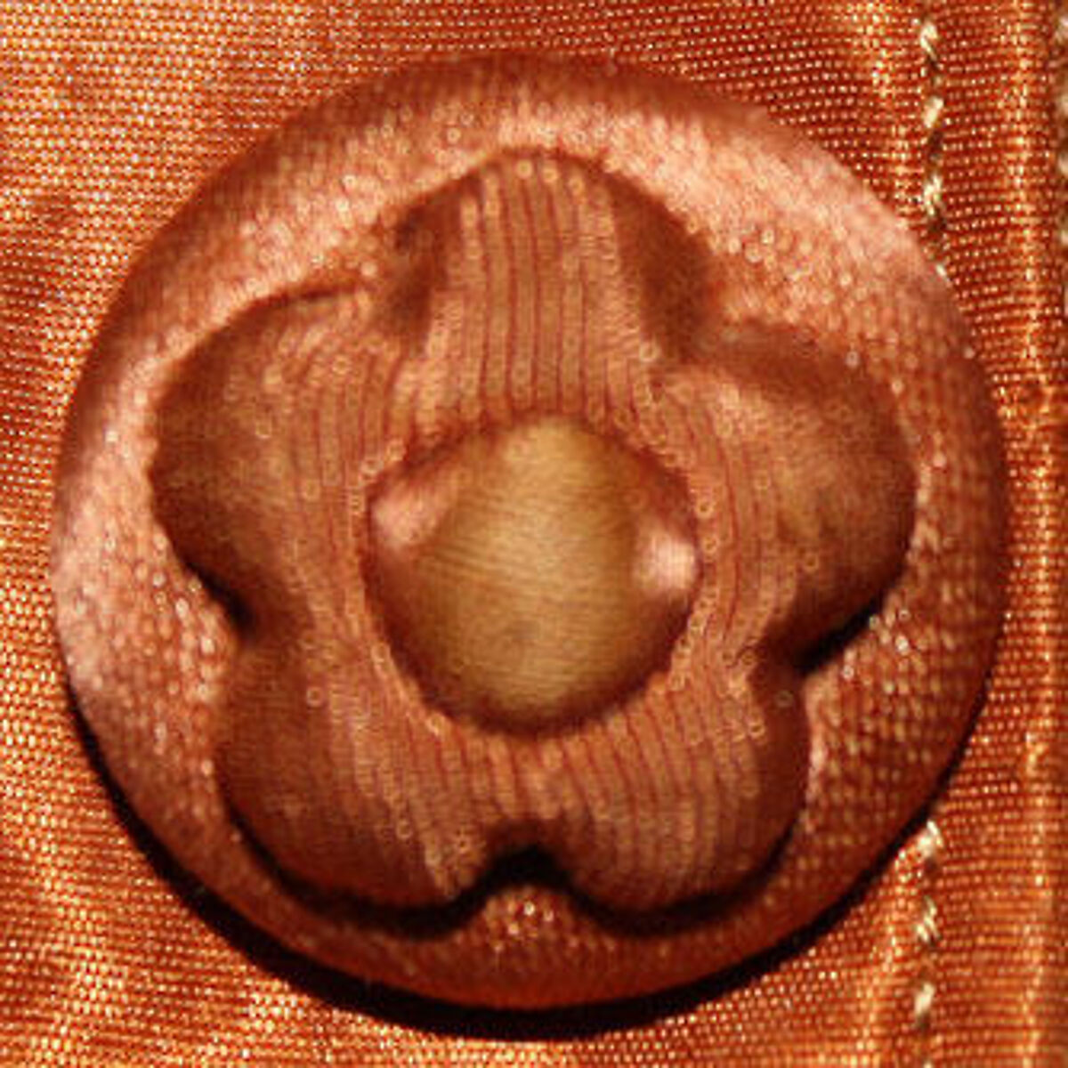 Visiting dress, silk, American