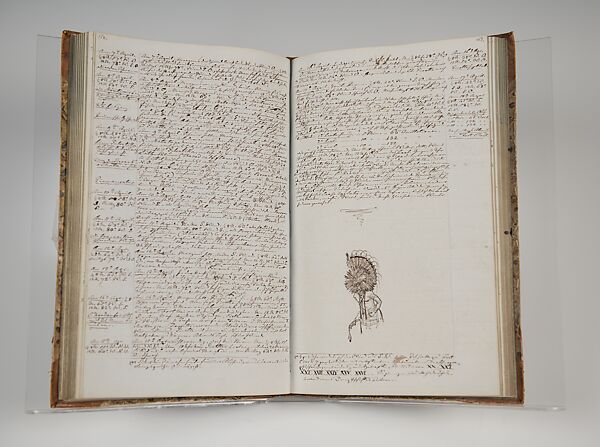 North American Journals of Prince Maximilian of Wied 
Vol. 3 (September 1833–August 1834)
Open to pages 162-63 (April 7–18, 1834), Ink and graphite on paper 