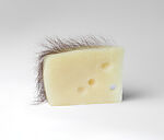 Short Haired Cheese, Robert Gober (American, born Wallingford, Connecticut, 1954), Beeswax, human hair