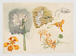 Nature Studies of Daffodils and Other Flowers