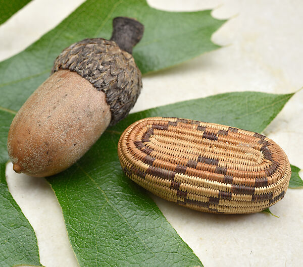 Miniature three-rod coiled boat basket, Willow shoot foundation, sedge root weft, and dyed bulrush root weft, Pomo (Northern California)