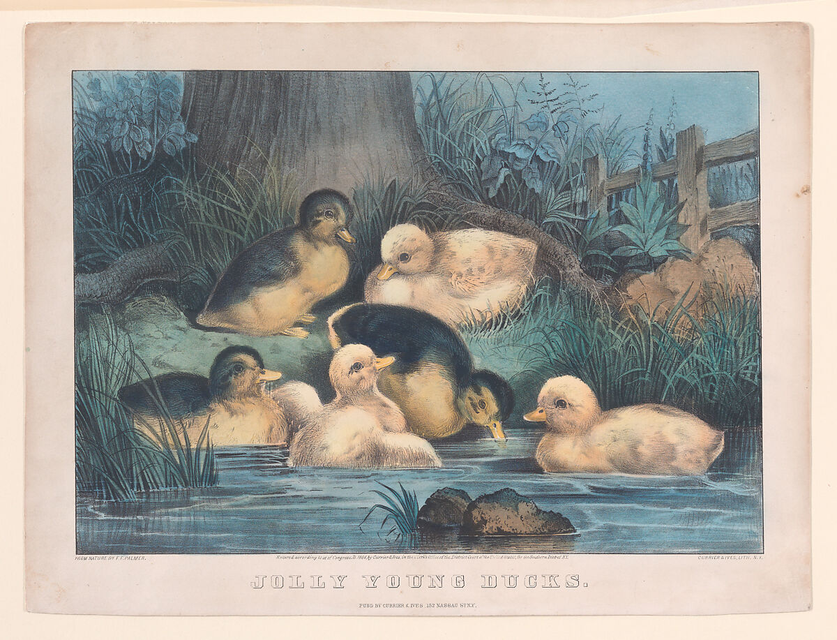 Jolly Young Ducks, After Frances Flora Bond Palmer (American (born England), Leicester 1812–1876 New York), Hand-colored lithograph 