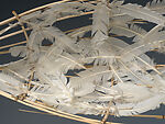 Feather Canoe, Truman T. Lowe (Ho Chunk, 1944–2019), Peeled Willow, White Feathers, Copper Wire, Ho Chunk, Native American