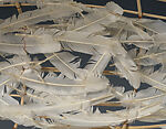 Feather Canoe, Truman T. Lowe (Ho Chunk, 1944–2019), Peeled Willow, White Feathers, Copper Wire, Ho Chunk, Native American