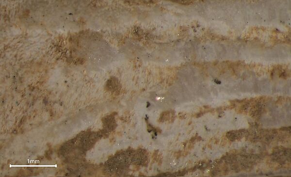 Fossilized sea sponge head of a figure, Fossilized sea sponge, Cycladic