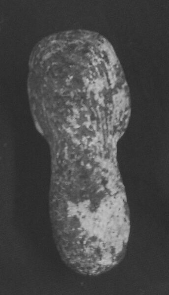Fossilized sea sponge head of a figure, Fossilized sea sponge, Cycladic