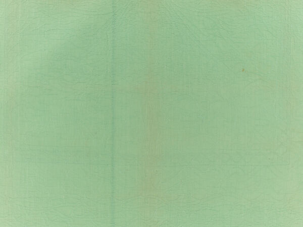 Quilt, appliqued, Cotton, American