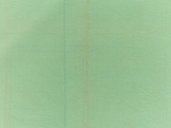 Quilt, appliqued, Cotton, American
