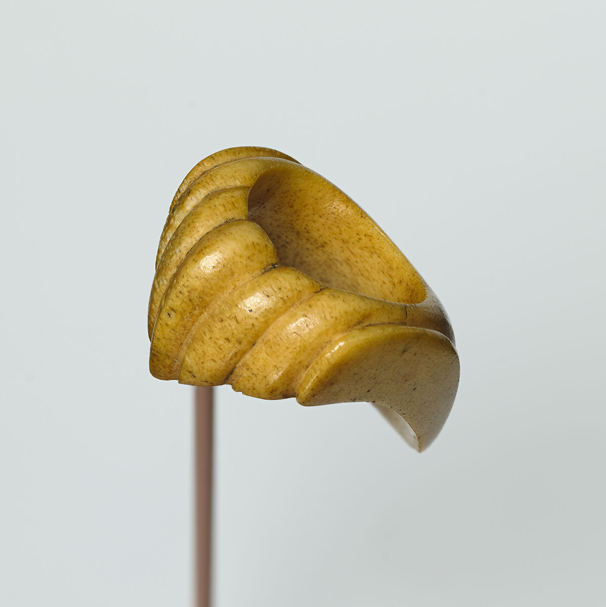 Archer's Thumb Ring, Walrus ivory