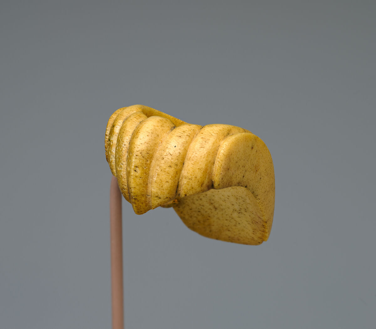 Archer's Thumb Ring, Walrus ivory