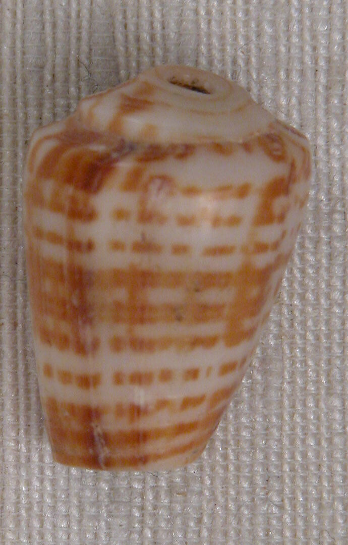 Bead, Shell 