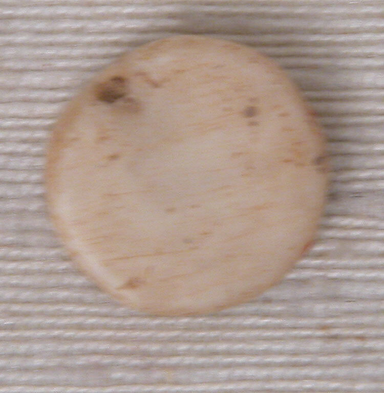 Bead, Shell 