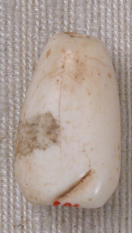 Bead, Shell