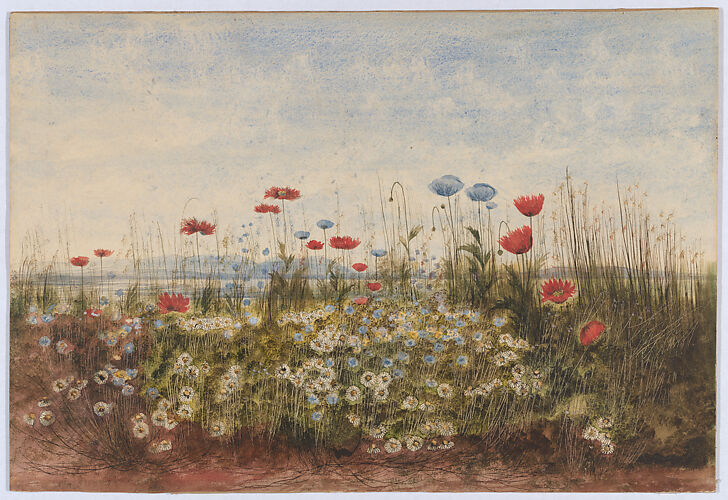 Bank of wildflowers