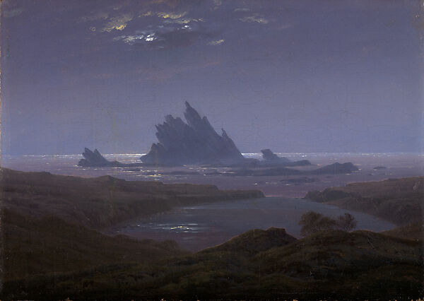 Rocky Reef off the Seacoast