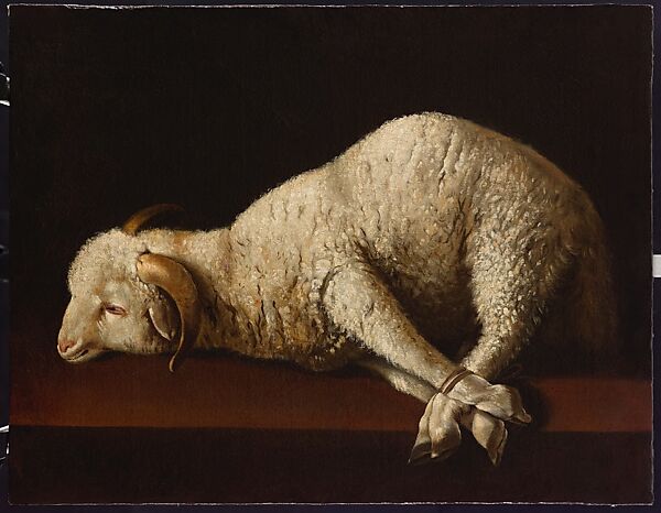 Agnus Dei, Francisco de Zurbarán (Spanish, Fuente de Cantos 1598–1664 Madrid), Oil on canvas 