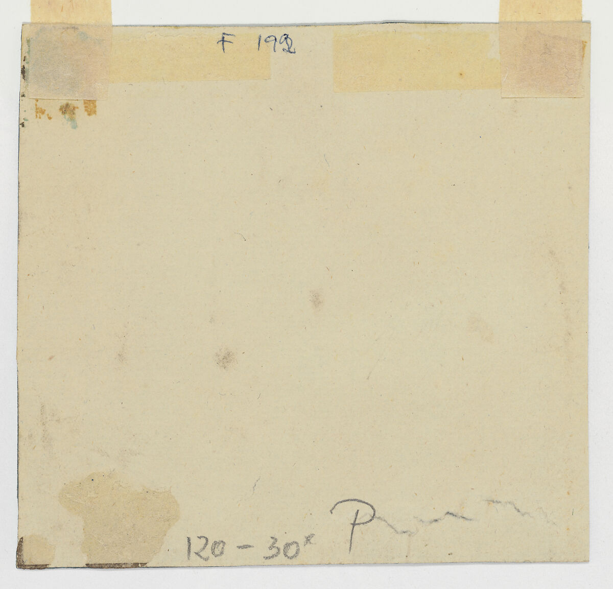 Young woman in bust-length turning to the left, Circle of Paolo Veronese (Paolo Caliari) (Italian, Verona 1528–1588 Venice), Soft, grayish black chalk, with slight highlights in white gouache or chalk