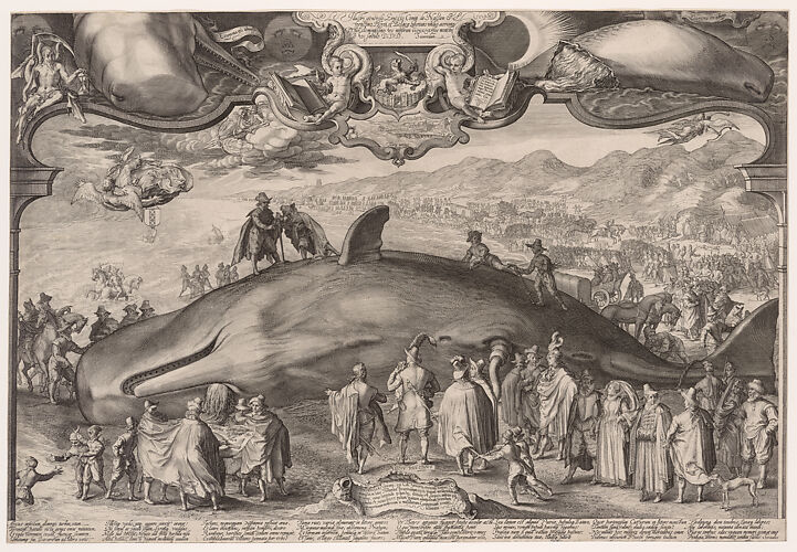 Beached Whale at Wijk aan Zee