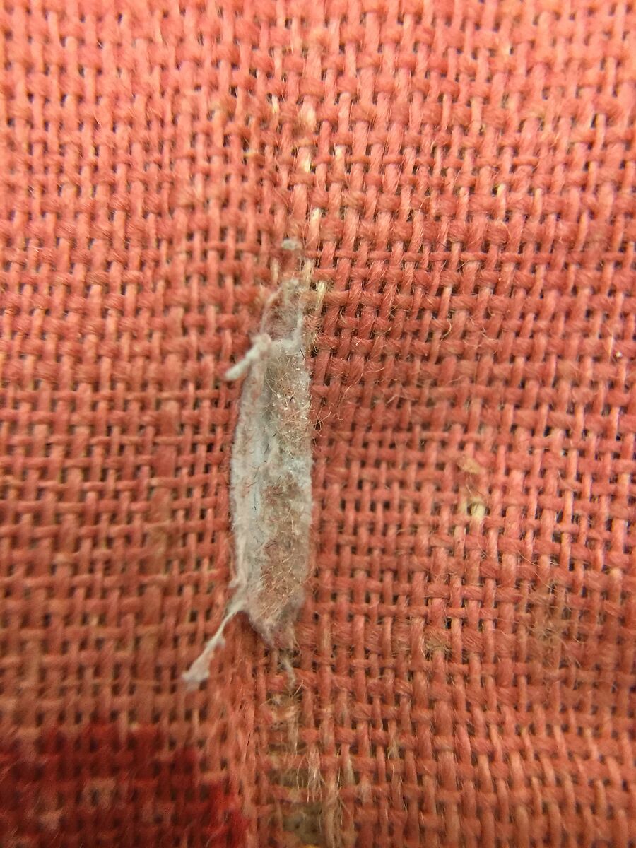 Bindalli Wedding Jacket, Cotton and metal wrapped thread; embroidered