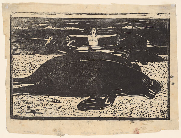 Robbus, Broncia Koller (Austrian, 1863–1934), Woodcut on Japanese paper 