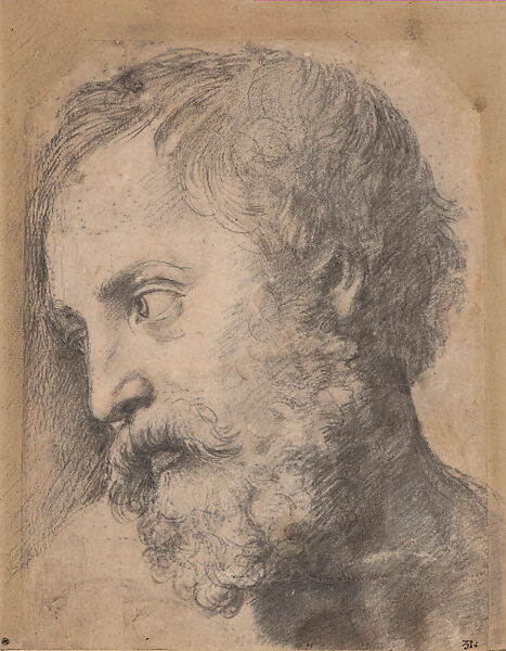 The Head of an Apostle (“Auxiliary Cartoon” for the Transfiguration), Raphael (Raffaello Sanzio or Santi)  Italian, Black chalk, drawn freehand over pounce marks (spolvero underdrawing) and stylus underdrawing, unrelated design in pounce marks (spolvero) on paper