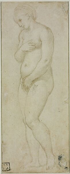 Standing Nude Woman Studied from Life (Venus Pudica), Raphael (Raffaello Sanzio or Santi)  Italian, Metalpoint, highlighted with white gouache, on paper prepared pale brown