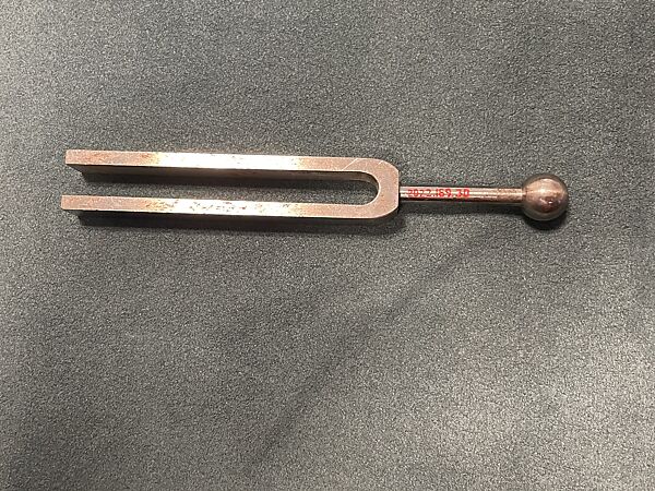 Medical Tuning Fork Set, Austria