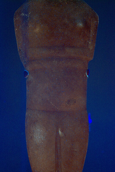 Marble female figure, Marble, Cycladic