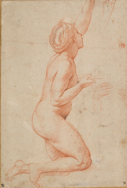 Studies for a Kneeling Woman (Probably for the Toilette of Psyche, Loggia di Psiche, Villa Farnesina), Raphael (Raffaello Sanzio or Santi)  Italian, Red chalk, over preliminary stylus underdrawing, with some ver slight later retouching in black chalk, on paper
