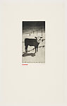 Colorado, Sue Coe (British, born 1951), Etching and aquatint on white heavyweight Rives paper