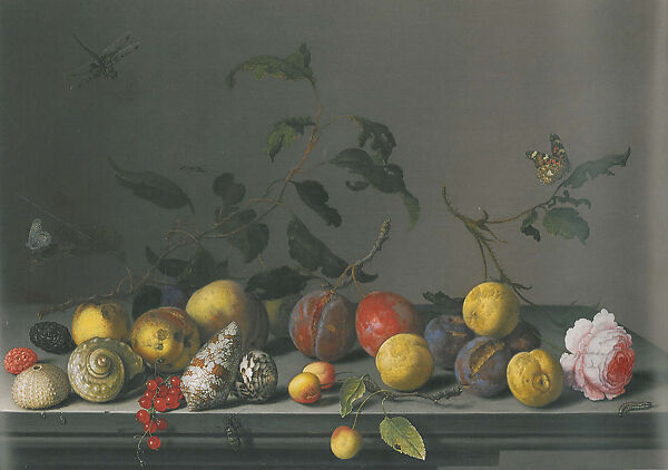 Fruits and Shells on a Ledge, Balthasar van der Ast (Dutch, Middelburg 1593/94–1657 Delft), Oil on wood 