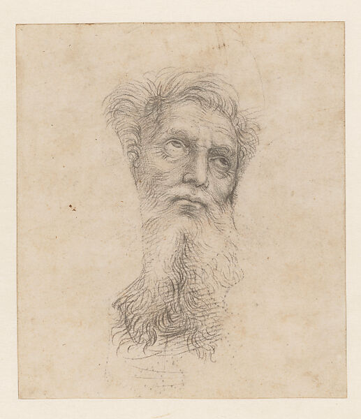 The Head of a Bearded Apostle (Saint Andrew) and Silhouettes of Two Other Heads of Apostles (“Auxiliary Cartoon” for the Oddi Altarpiece), Raphael (Raffaello Sanzio or Santi)  Italian, Black chalk, drawn freehand over pounce marks (spolvero underdrawing) and stylus underdrawing, with further outlines for the heads of two figures in pounce marks (spolvero), on paper