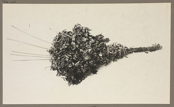 Plant Bouquet, Harry Burton (British (1879–1940)), Gelatin silver print from glass negative 