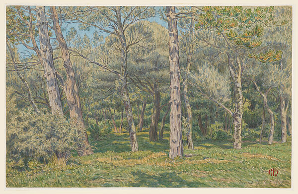 The Pines in Morgat, Henri Rivière (French, Paris 1864–1951 Paris), Watercolor over graphite and charcoal 