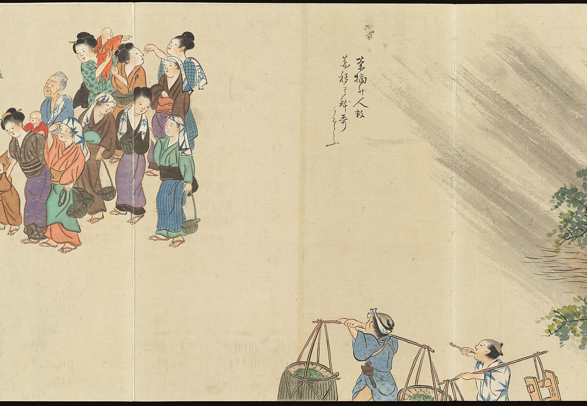 Illustrations of Uji Tea Production, Painting by Saitō Motonari (Japanese, active ca. 1800), Handscroll of thirty-two sheets reformatted as a folding album (orihon), Japan