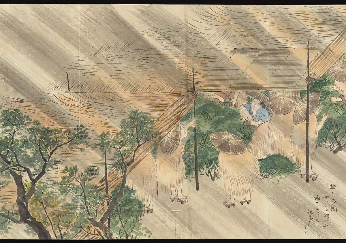 Illustrations of Uji Tea Production, Painting by Saitō Motonari (Japanese, active ca. 1800), Handscroll of thirty-two sheets reformatted as a folding album (orihon), Japan