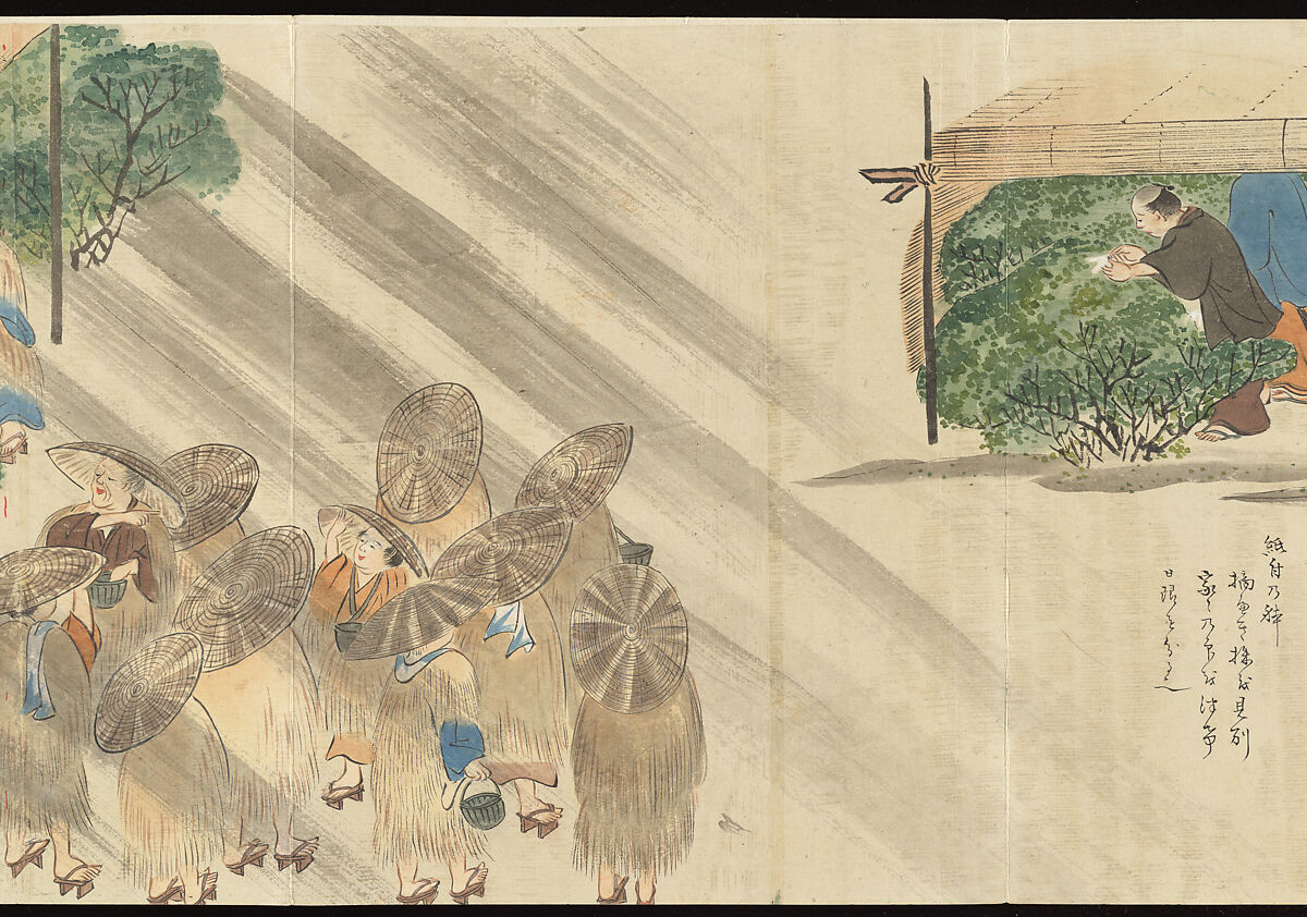Illustrations of Uji Tea Production, Painting by Saitō Motonari (Japanese, active ca. 1800), Handscroll of thirty-two sheets reformatted as a folding album (orihon), Japan