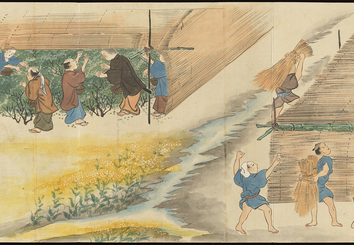 Illustrations of Uji Tea Production, Painting by Saitō Motonari (Japanese, active ca. 1800), Handscroll of thirty-two sheets reformatted as a folding album (orihon), Japan