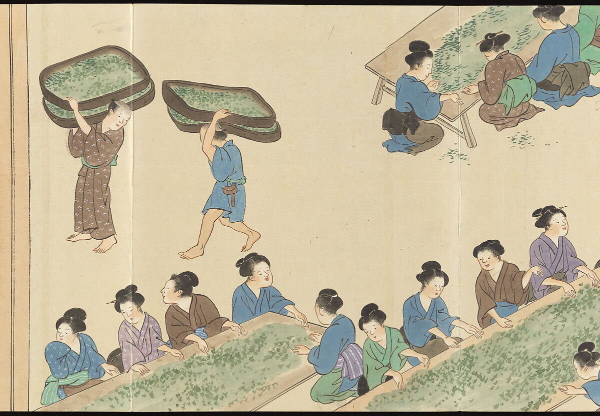 Illustrations of Uji Tea Production, Painting by Saitō Motonari (Japanese, active ca. 1800), Handscroll of thirty-two sheets reformatted as a folding album (orihon), Japan