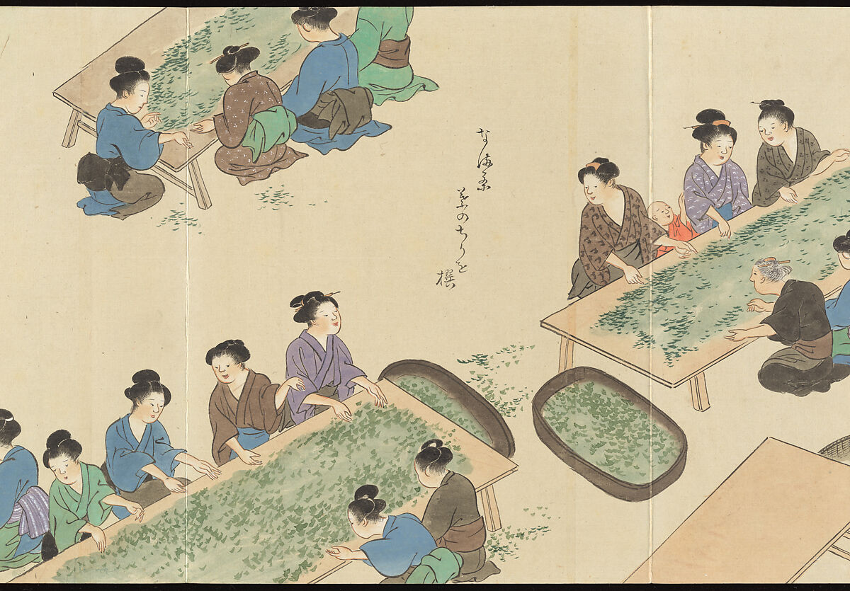 Illustrations of Uji Tea Production, Painting by Saitō Motonari (Japanese, active ca. 1800), Handscroll of thirty-two sheets reformatted as a folding album (orihon), Japan
