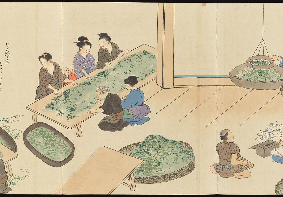 Illustrations of Uji Tea Production, Painting by Saitō Motonari (Japanese, active ca. 1800), Handscroll of thirty-two sheets reformatted as a folding album (orihon), Japan