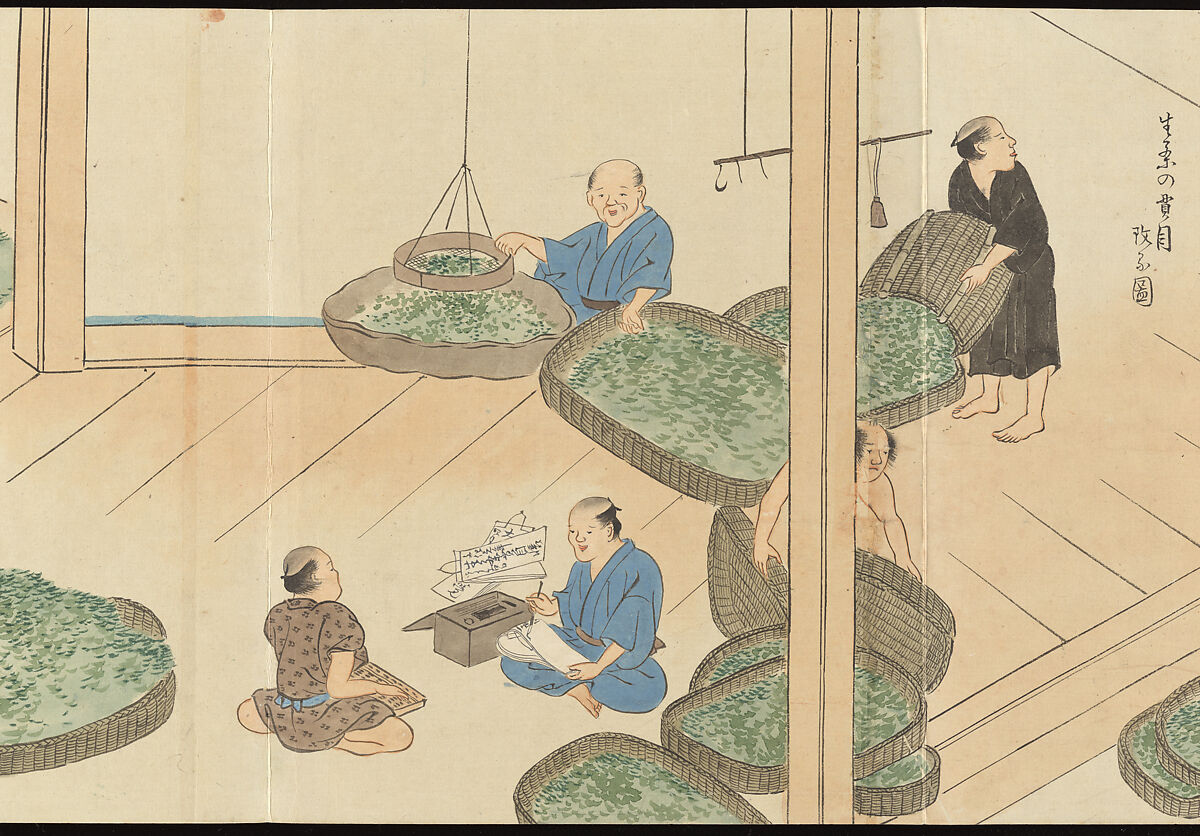 Illustrations of Uji Tea Production, Painting by Saitō Motonari (Japanese, active ca. 1800), Handscroll of thirty-two sheets reformatted as a folding album (orihon), Japan