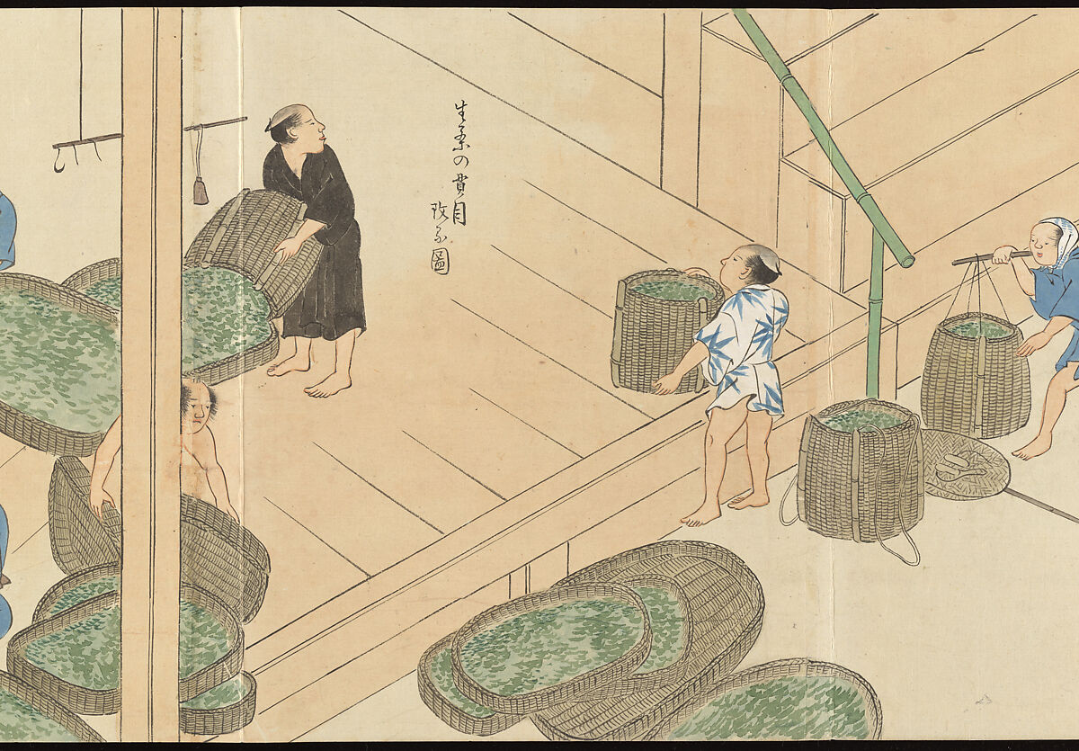 Illustrations of Uji Tea Production, Painting by Saitō Motonari (Japanese, active ca. 1800), Handscroll of thirty-two sheets reformatted as a folding album (orihon), Japan