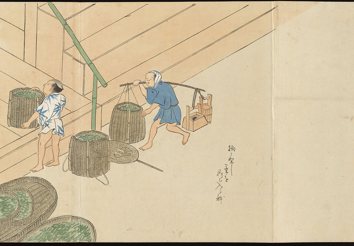 Illustrations of Uji Tea Production, Painting by Saitō Motonari (Japanese, active ca. 1800), Handscroll of thirty-two sheets reformatted as a folding album (orihon), Japan