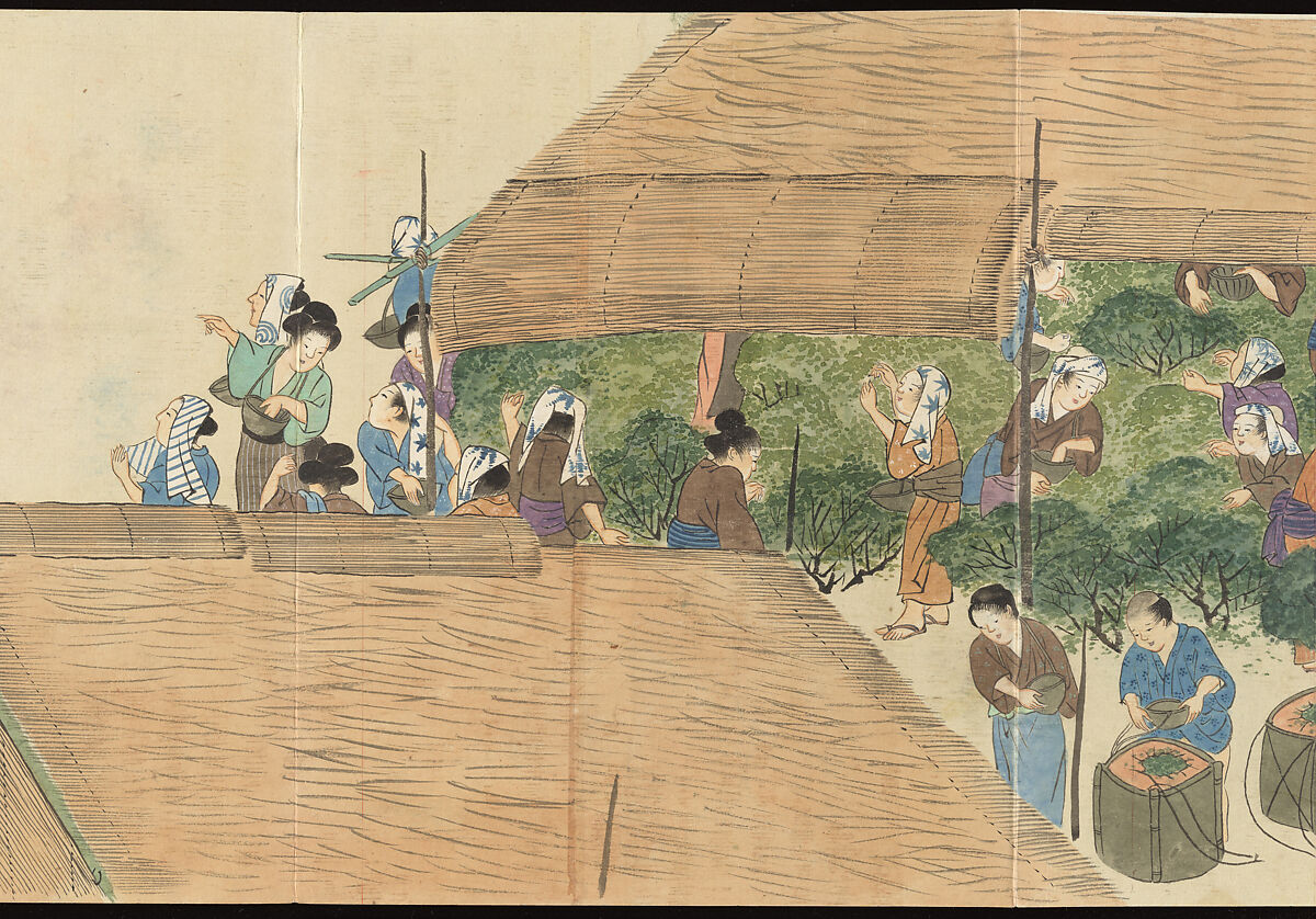 Illustrations of Uji Tea Production, Painting by Saitō Motonari (Japanese, active ca. 1800), Handscroll of thirty-two sheets reformatted as a folding album (orihon), Japan